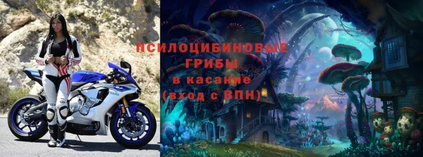 spice Алзамай