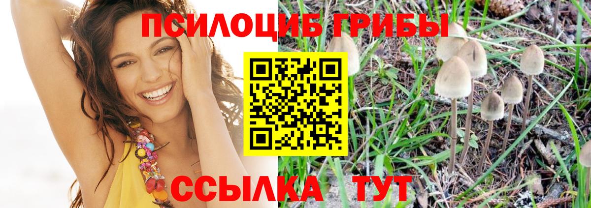 Псилоцибиновые грибы GOLDEN TEACHER Обнинск